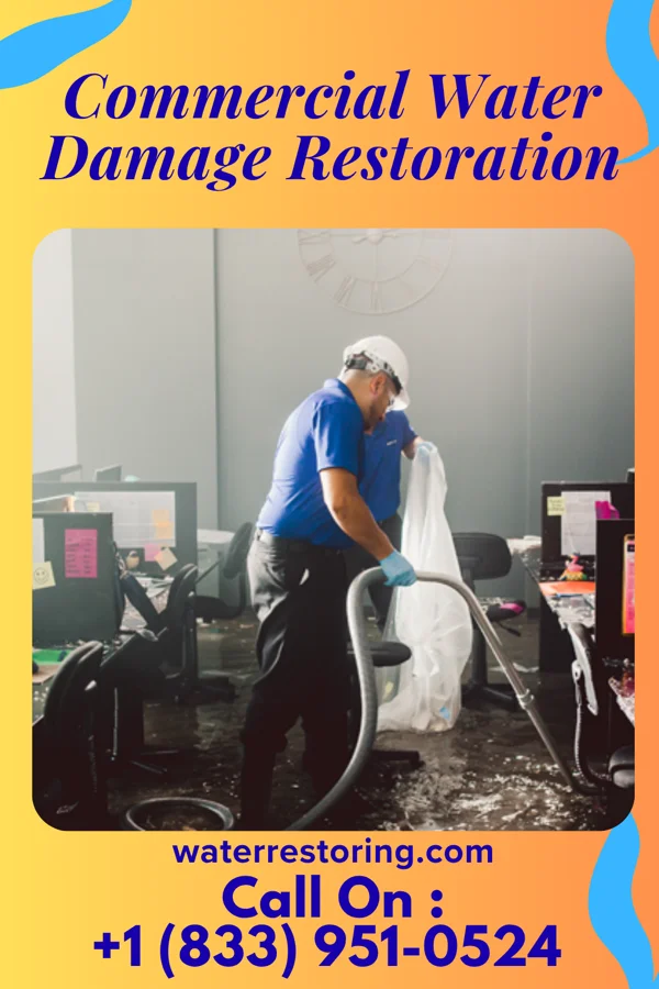 Commercial Water Damage Restoration in Lane, KS