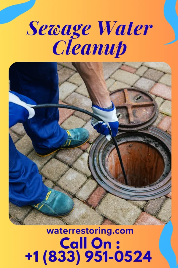 Sewage Water Cleanup in Lane, KS